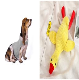 image-Anxiety Jacket Vest Summer Medical Treatment To Calm Down Cat Clothes Dog Comfort Clothes