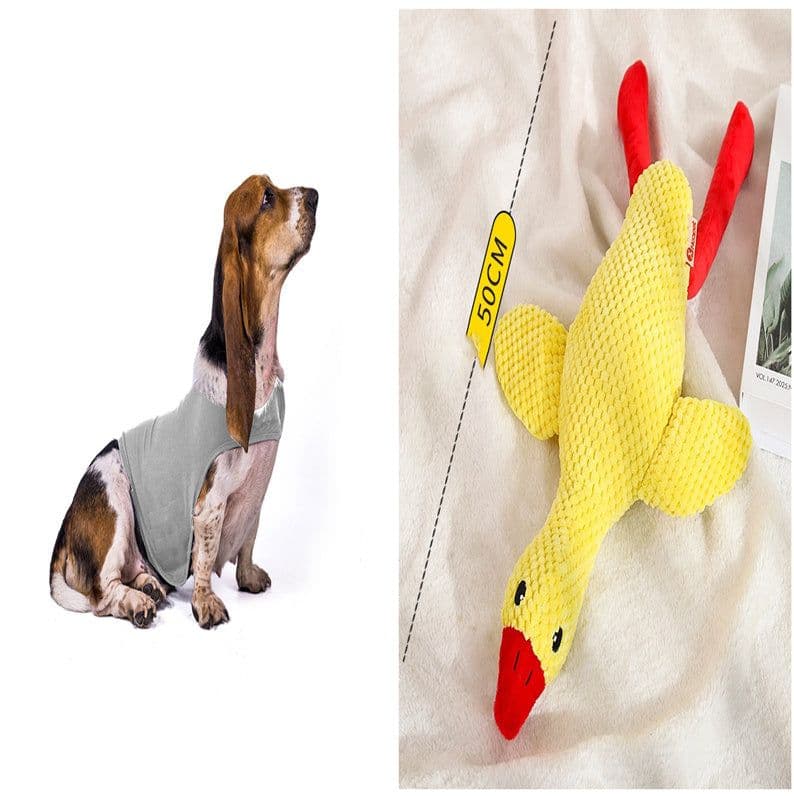 image-Anxiety Jacket Vest Summer Medical Treatment To Calm Down Cat Clothes Dog Comfort Clothes