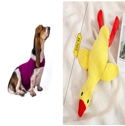 image-Anxiety Jacket Vest Summer Medical Treatment To Calm Down Cat Clothes Dog Comfort Clothes