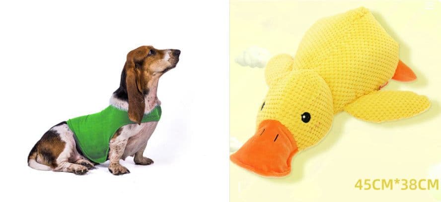 image-Anxiety Jacket Vest Summer Medical Treatment To Calm Down Cat Clothes Dog Comfort Clothes
