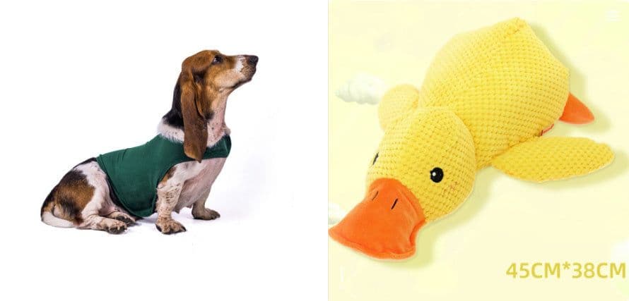 image-Anxiety Jacket Vest Summer Medical Treatment To Calm Down Cat Clothes Dog Comfort Clothes