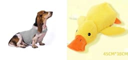 image-Anxiety Jacket Vest Summer Medical Treatment To Calm Down Cat Clothes Dog Comfort Clothes