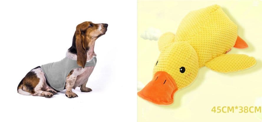 image-Anxiety Jacket Vest Summer Medical Treatment To Calm Down Cat Clothes Dog Comfort Clothes