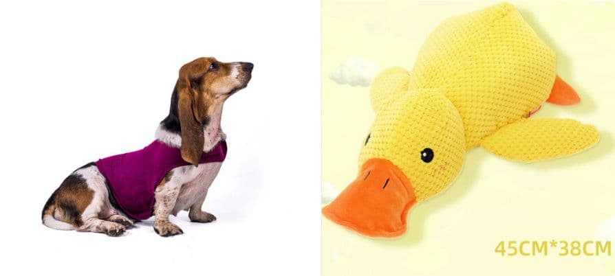 image-Anxiety Jacket Vest Summer Medical Treatment To Calm Down Cat Clothes Dog Comfort Clothes