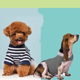 image-Anxiety Jacket Vest Summer Medical Treatment To Calm Down Cat Clothes Dog Comfort Clothes
