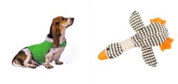 image-Anxiety Jacket Vest Summer Medical Treatment To Calm Down Cat Clothes Dog Comfort Clothes