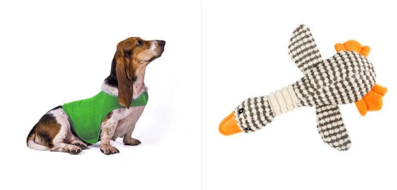 image-Anxiety Jacket Vest Summer Medical Treatment To Calm Down Cat Clothes Dog Comfort Clothes