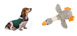 image-Anxiety Jacket Vest Summer Medical Treatment To Calm Down Cat Clothes Dog Comfort Clothes