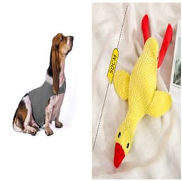 image-Anxiety Jacket Vest Summer Medical Treatment To Calm Down Cat Clothes Dog Comfort Clothes