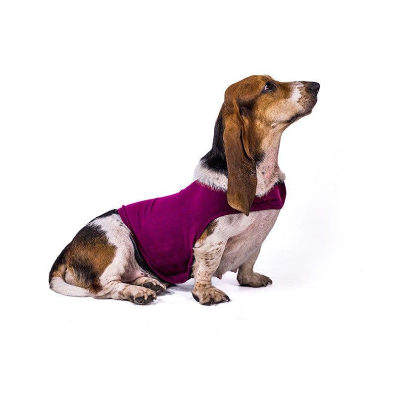 image-Anxiety Jacket Vest Summer Medical Treatment To Calm Down Cat Clothes Dog Comfort Clothes