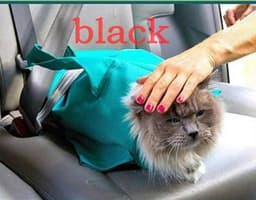 image-Pet Cat Breathable Outdoor Travel Shoulder Bag Sling Carrier For Puppy