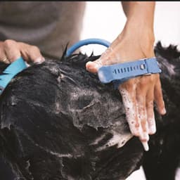image-New Pet Bathing Tool Comfortable Massager Shower Tool Cleaning Washing Bath Sprayers Dog Brush Pet Supplies