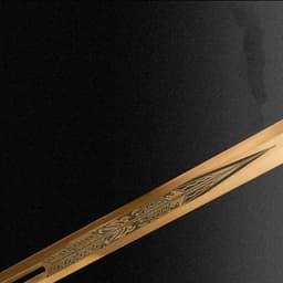 image-Jinsheng Integral Precious Sword High Manganese Steel Self-Defense Cold Weapon Collection-Grade Unsharpened