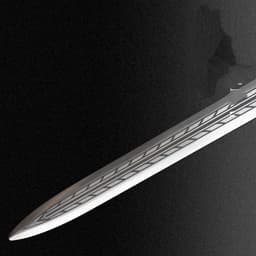 image-Beast Beak Integral Sword High Manganese Steel Self-Defense Cold Weapon Collection-Grade Unsharpened