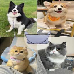 image-Easy Dog And Cat Hair Catcher Tent - Waterproof Adjustable Neat Barbering Cape For Easy Trimming And Shaving Pet Grooming