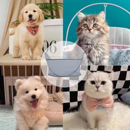 image-Easy Dog And Cat Hair Catcher Tent - Waterproof Adjustable Neat Barbering Cape For Easy Trimming And Shaving Pet Grooming