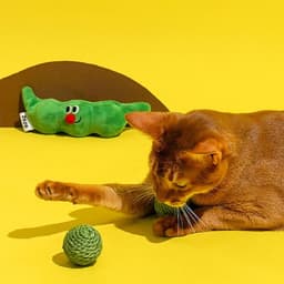 image-3PCS Cat Toy Balls, Interactive Pet Play Balls Sisal Rope Scratching Chew Ball Toy With Rustling Sound Pea Pod Storage For Indoor Kitten Training Hunting