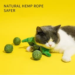 image-3PCS Cat Toy Balls, Interactive Pet Play Balls Sisal Rope Scratching Chew Ball Toy With Rustling Sound Pea Pod Storage For Indoor Kitten Training Hunting