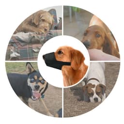 image-Dog Muzzle - Adjustable Soft Breathable Tribal Nylon Dog Mouth Guard Cover For Small, Medium And Large Dogs, Anti Chewing, Barking & Biting