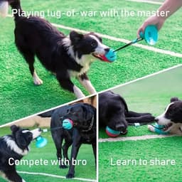 image-Dog Toys For Aggressive Chewers Interactive Teething Boredom And Stimulating Tug Of War Suction Cup Interactive Tug-of-War Dog Toy Treat Dispensing, Durable Thermoplastic Rubber Construction