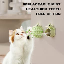 image-Cat Grooming Brush Wall Mount, Cat Self Groomer Cat Corner Face Scratcher, Cat Self Groomer Corner, Wall Corner Massage Comb For Cat And Dog