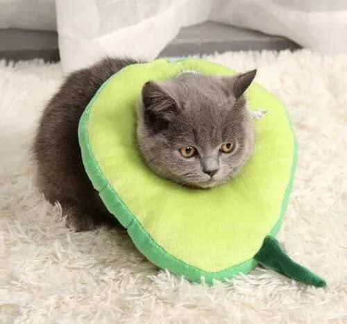 image-Adjustable Pet Neck Cone Recovery Pet Cat Recovery Collar Cat Soft Lemon Neck Cone Adjustable Pet E Collar After Surgery, Wound Healing Protective Cat Elizabethan Collar For Kitten & Puppy