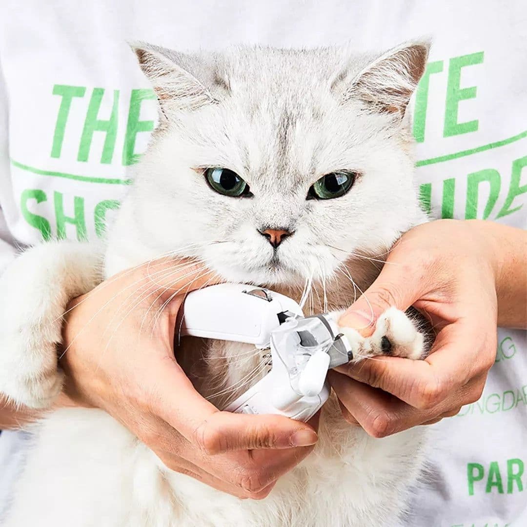 image-Professional Pet Nail Clipper Scissors Pet Dog Cat Nail Toe Claw Clippers Scissor LED Light Nail Trimmer For Animals Pet