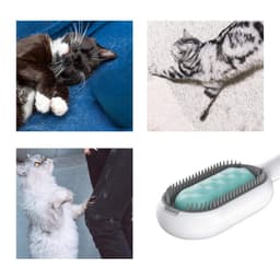 image-Cat Hair Brush With Water, Sticky Brush For Cats, 4 In-1 Cat Grooming Brush Creative Update Cat Dog Grooming Comb With Water Tank Double-Sided Hair Removal Brush Kitten Pet Supplies Accessories