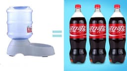 image-Cats Dogs Automatic Pet Feeder Drinking Water Fountains Large Capacity Plastic Pets Dog Food Bowl Water Dispenser