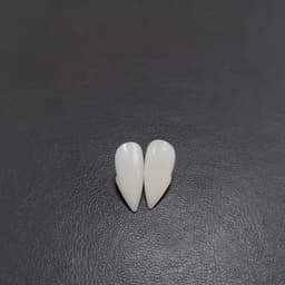 image-Halloween Vampire Zombie Dentures