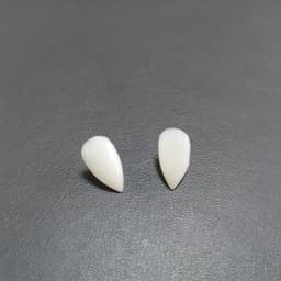 image-Halloween Vampire Zombie Dentures