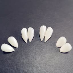 image-Halloween Vampire Zombie Dentures