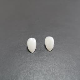 image-Halloween Vampire Zombie Dentures