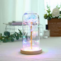 image-Enchanted Forever Rose Flower in Glass LED Light Christmas Decoration