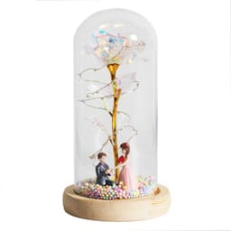 image-Enchanted Forever Rose Flower in Glass LED Light Christmas Decoration
