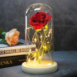 image-Enchanted Forever Rose Flower in Glass LED Light Christmas Decoration