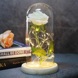 image-Enchanted Forever Rose Flower in Glass LED Light Christmas Decoration