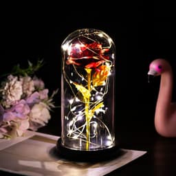 image-Enchanted Forever Rose Flower in Glass LED Light Christmas Decoration