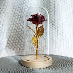image-Enchanted Forever Rose Flower in Glass LED Light Christmas Decoration