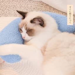 image-Pillow For Cats, U-Shaped Pillow Equipped With An Adjustable Cat Collar, For Pet Cervical Protection Sleeping Improve For Cat To Lay On Cat Bed Pillow Ultra Soft Pet Pillows