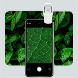 image-Mini Mobile Phone Microscope, 60x Pocket Microscope, Handheld Portable LED Lighted Magnification Endoscope With A Mobile Phone Adapter Clip
