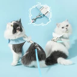 image-Adjustable Pet Cat Leash Set, Angel Wings Design, Breathable, And Soft For Comfort Cat Harness And Leash Set, Adjustable Gradient Kitten Harness Escape Proof Harness With Leash For Kitty
