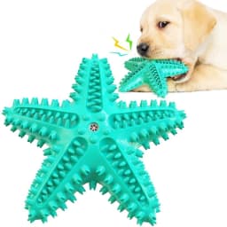 image-Dog Toys For Large Dogs Tooth Cleaning Chew Funny Interactive Training Starfish Toy Accessories Squeaky Toys TPR Toys