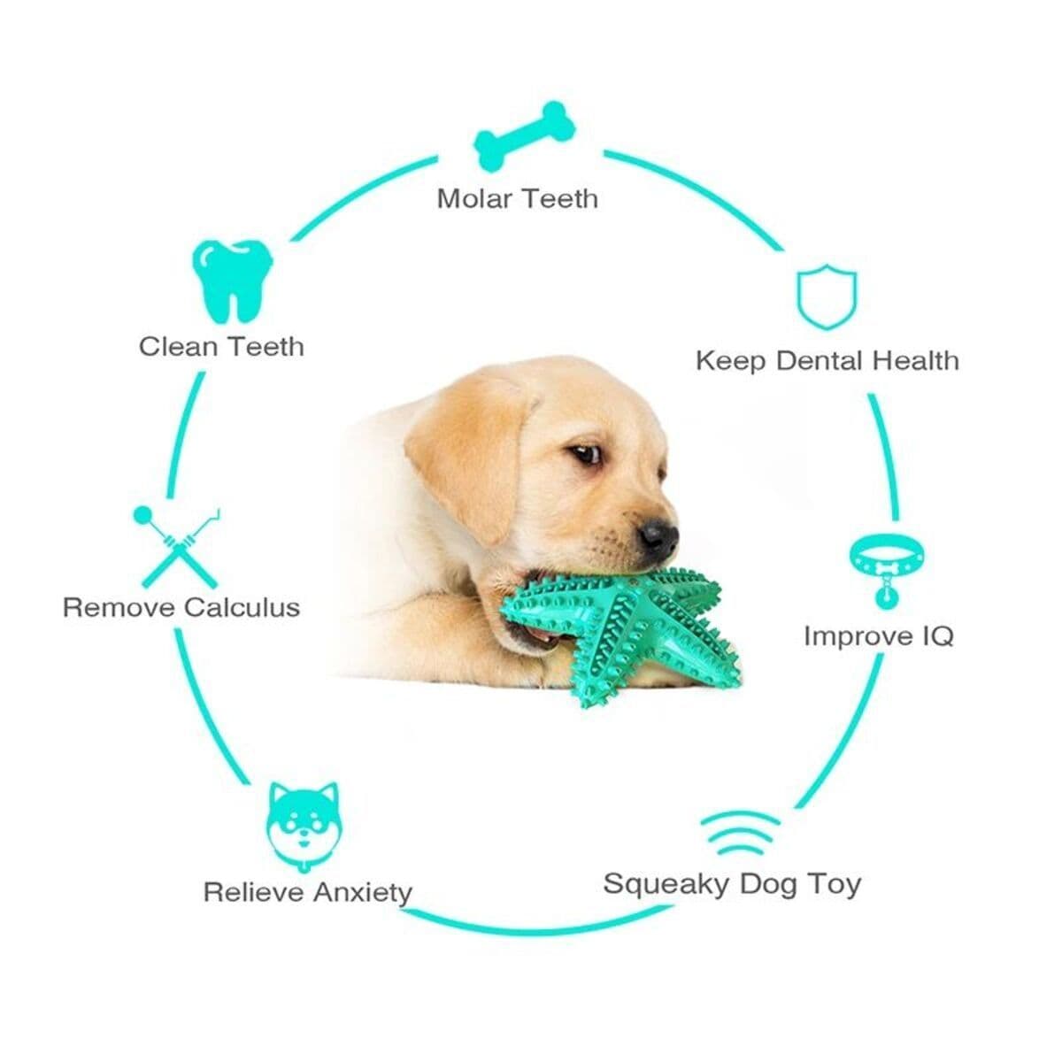 image-Dog Toys For Large Dogs Tooth Cleaning Chew Funny Interactive Training Starfish Toy Accessories Squeaky Toys TPR Toys