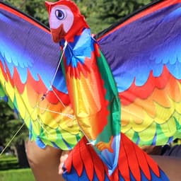 image-Kite Animal Kite Large Size 3D Parrot Kite 3D Parrot Kite New