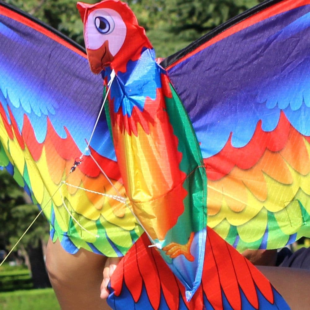 image-Kite Animal Kite Large Size 3D Parrot Kite 3D Parrot Kite New