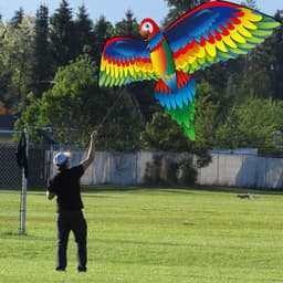 image-Kite Animal Kite Large Size 3D Parrot Kite 3D Parrot Kite New
