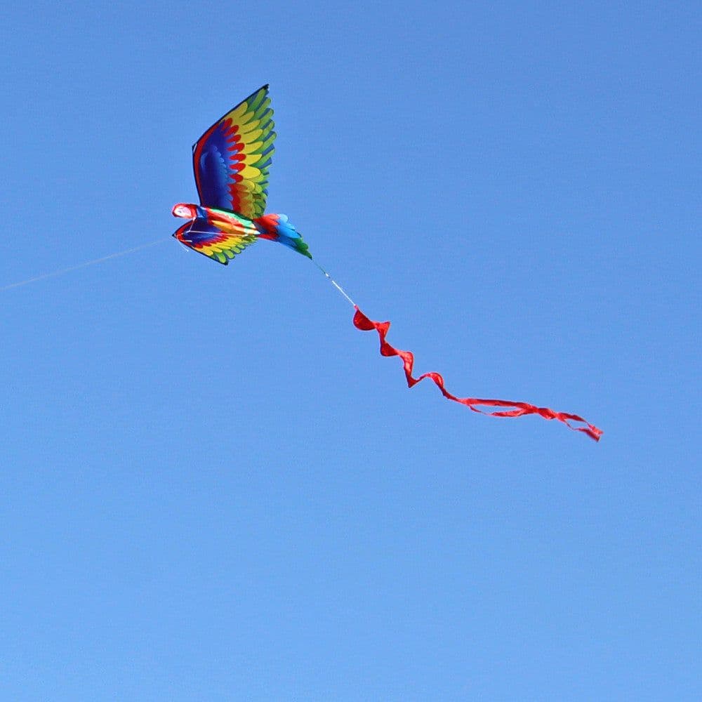image-Kite Animal Kite Large Size 3D Parrot Kite 3D Parrot Kite New