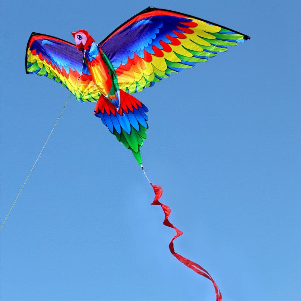 image-Kite Animal Kite Large Size 3D Parrot Kite 3D Parrot Kite New