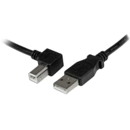 image-USB A to USB B Cable Startech USBAB2ML Black